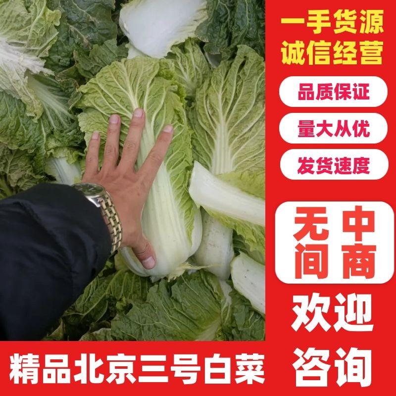北京三号白菜，杠菜大量有货，适合各大市场，工厂。酸菜厂