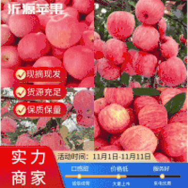 红富士苹果山东苹果脆甜好吃商超电商供货质优价廉