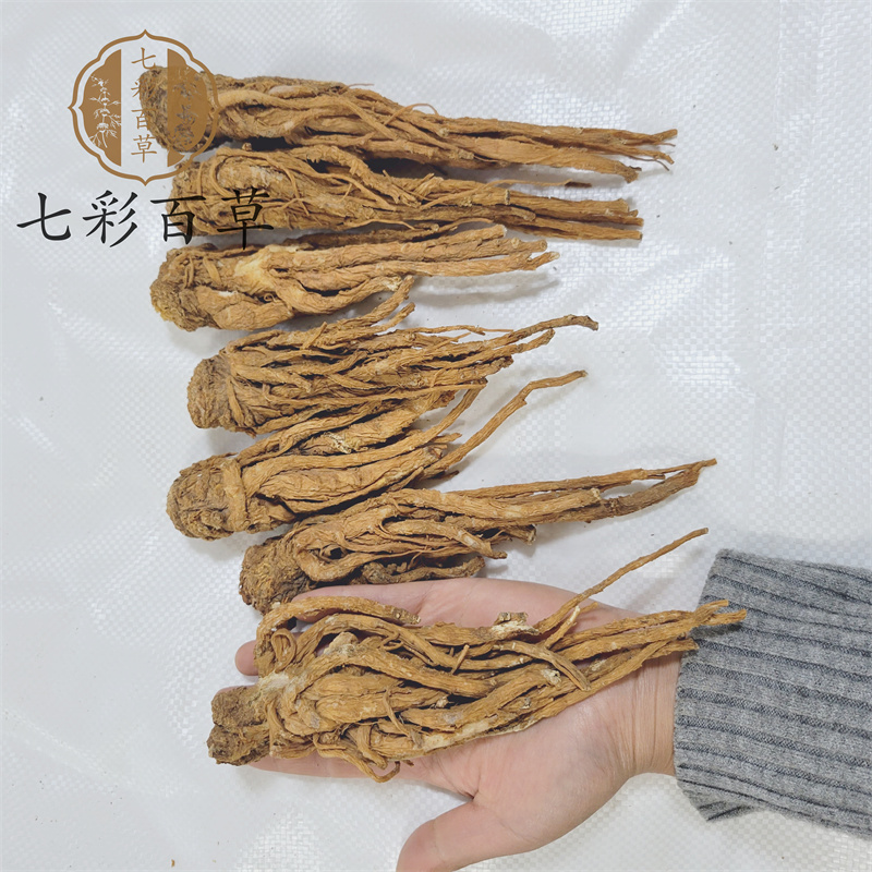 当归个甘肃产地货源中药材批发品种齐全大量供应
