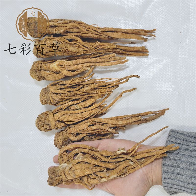 当归个甘肃产地货源中药材批发品种齐全大量供应