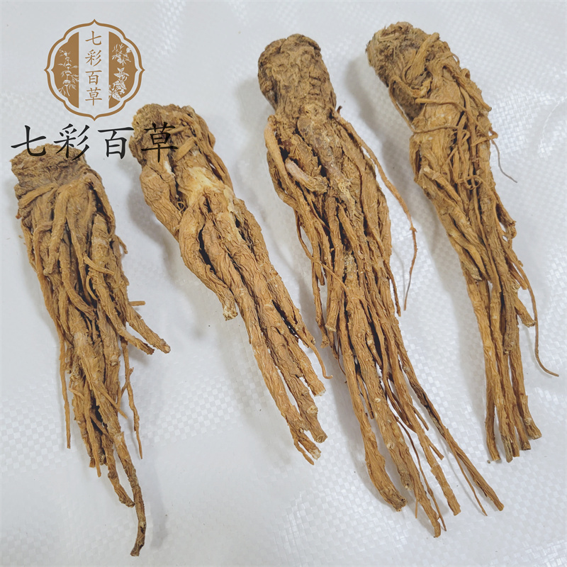 当归个甘肃产地货源中药材批发品种齐全大量供应