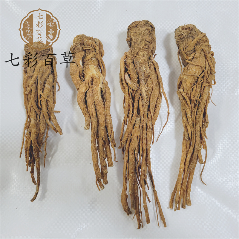当归个甘肃产地货源中药材批发品种齐全大量供应