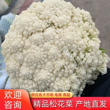【花菜】松花菜散花乳白2~3斤品质保证可实地看货