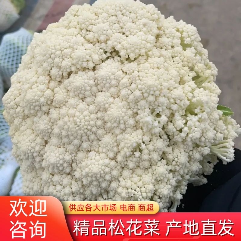 【花菜】松花菜散花乳白2~3斤品质保证可实地看货