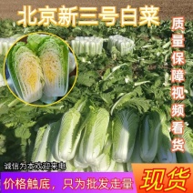 大白菜北京新三号白菜，货源充足稳定，交通便利，欢迎选购