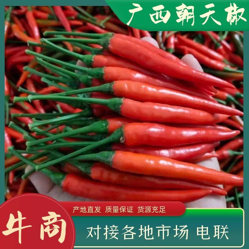朝天椒，鲜辣椒广西产地货源，质好价优，以质论价，电联