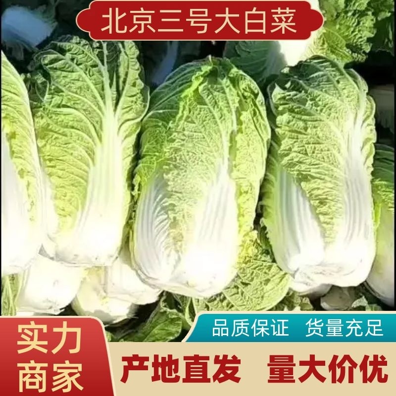 （全国发货）北京新三号大白菜大量出售，量大质优4-6