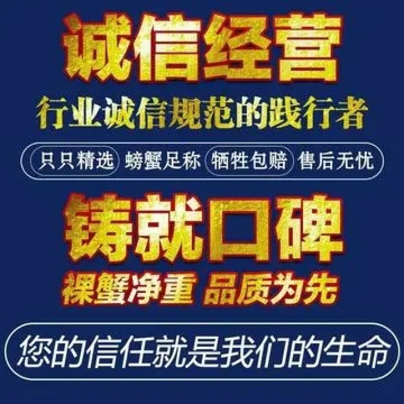 江苏鲜活大闸蟹现货肥货规格全，质量好，量大价优支持混批