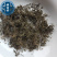 鹅不食草新货干净无杂质