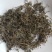 鹅不食草新货干净无杂质