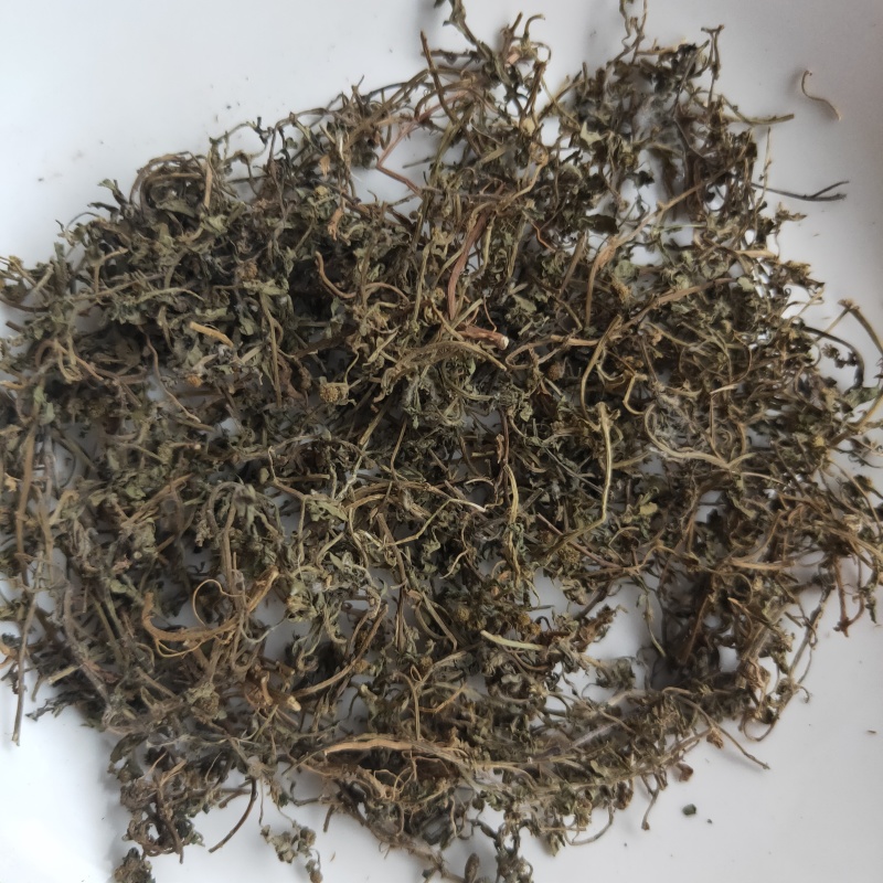 鹅不食草新货干净无杂质
