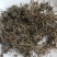 鹅不食草新货干净无杂质