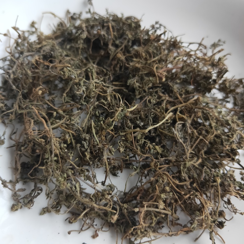 鹅不食草新货干净无杂质