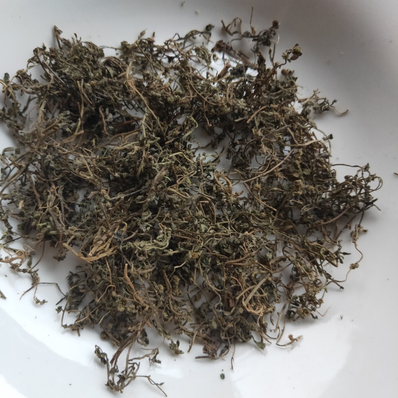 鹅不食草新货干净无杂质