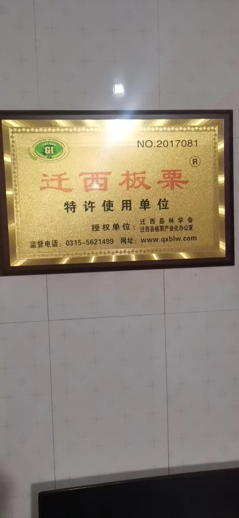 【正宗老树板栗】炒货店专用板栗批发软糯香甜产地发货量大优先