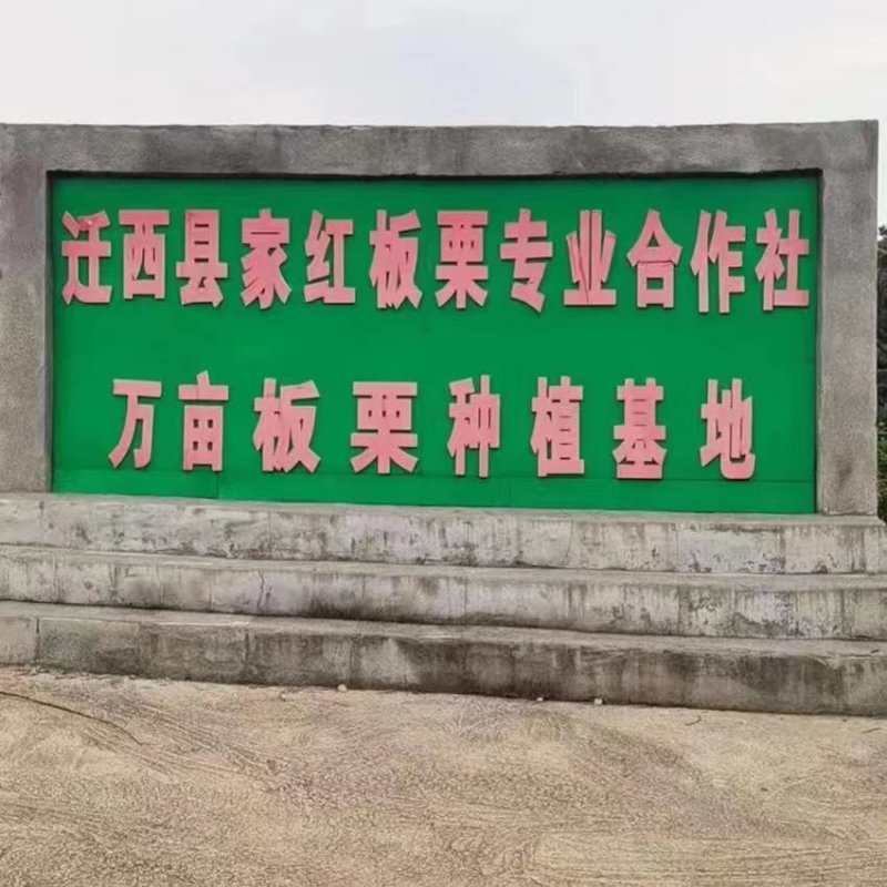 【正宗老树板栗】炒货店专用板栗批发软糯香甜产地发货量大优先