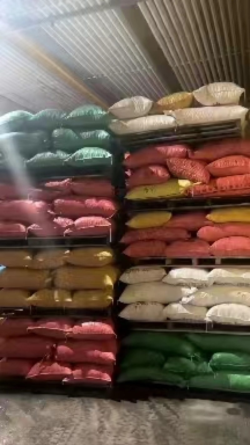 【正宗老树板栗】炒货店专用板栗批发软糯香甜产地发货量大优先