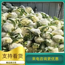 花菜精品花菜大量上市货源充足来电咨询更优惠