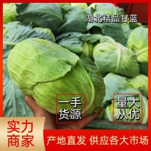 【实力商家】甘蓝精品扁包菜原产地直发可视频看货