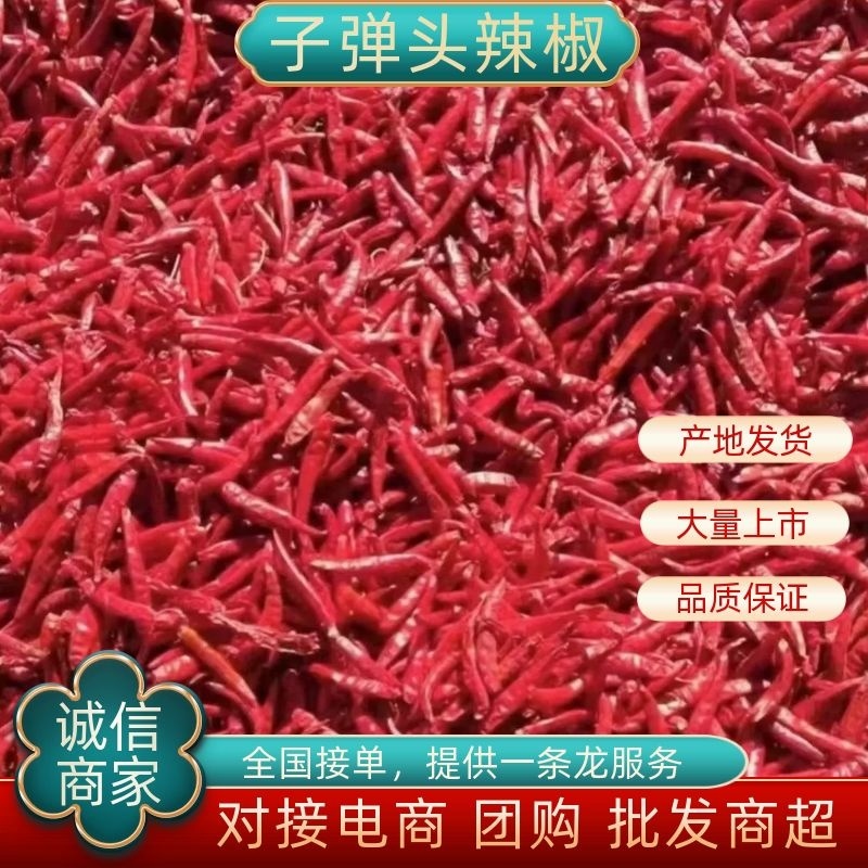 【推荐干辣椒】辽宁凌海干辣椒颜色好口感好货源稳定