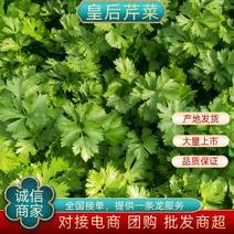 【芹菜推荐】我是辽宁省锦州市蔬菜代办常年出售芹菜。