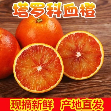 精品血橙资中塔罗科血橙欢迎电商团购对接可实地考察