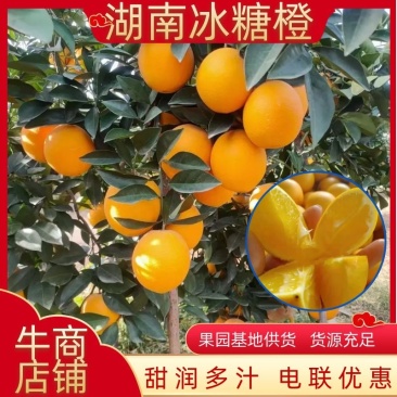 湖南正宗冰糖橙甜润多汁，一手货源口感纯甜欢迎来电下单