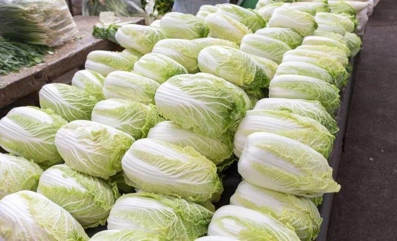 【诚信商家】精品黄心大白菜，一手货源，只做精品！