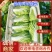 白菜黄心大白菜精品黄心大白菜对接全国量大从优