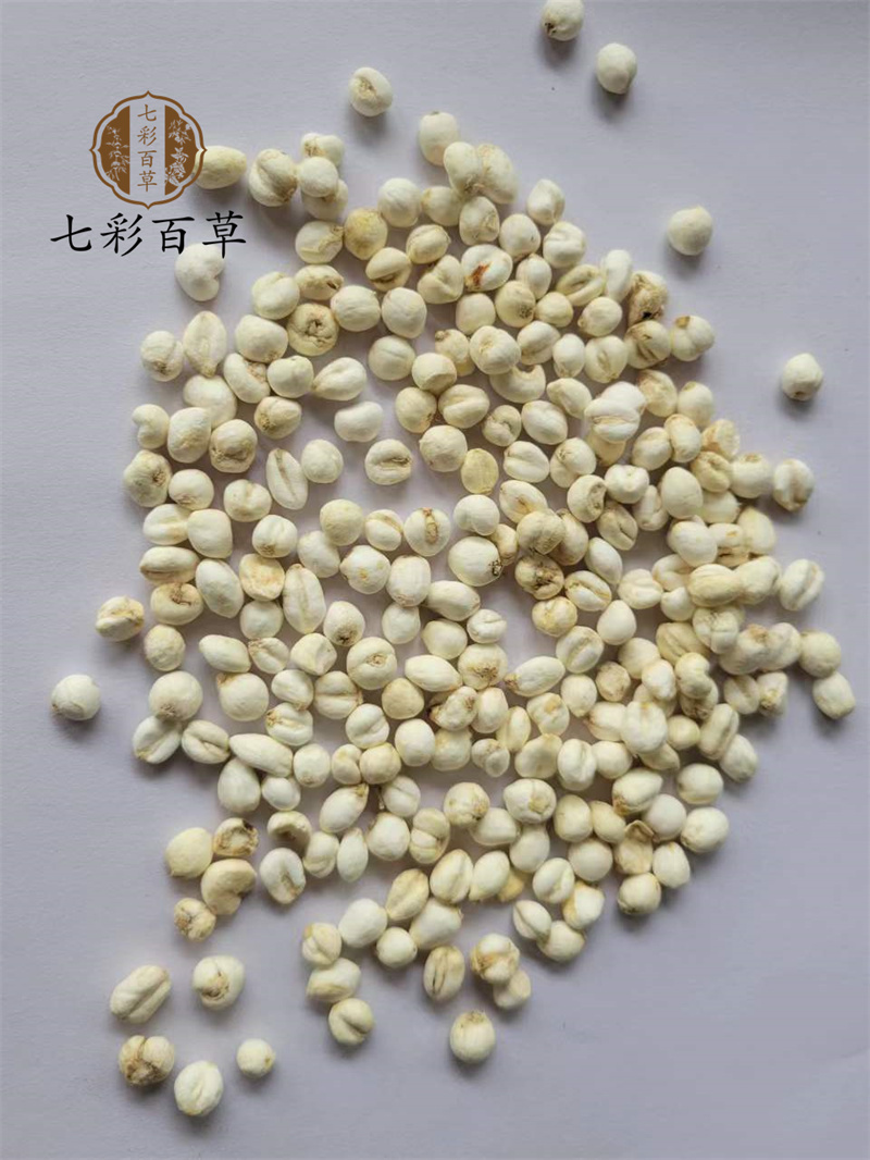 平贝母0.6cm珍珠小平贝小贝母产地直发大量供应