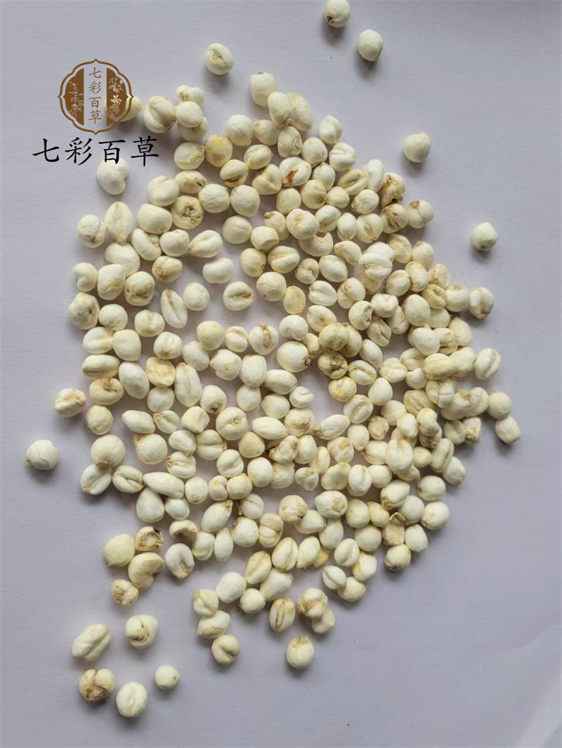平贝母0.6cm珍珠小平贝小贝母产地直发大量供应