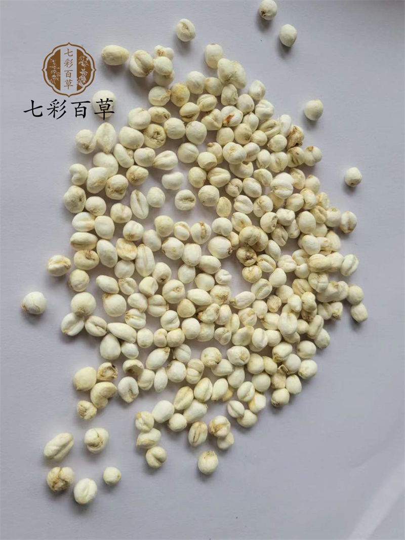 平贝母0.6cm珍珠小平贝小贝母产地直发大量供应