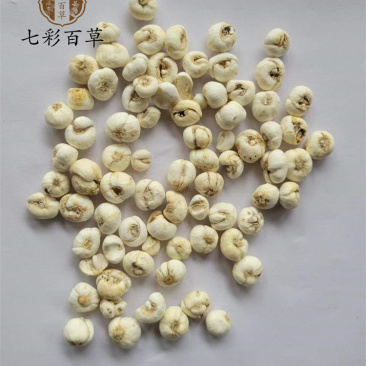 平贝母1.0小平贝吉林产地直发一手货源大量供应