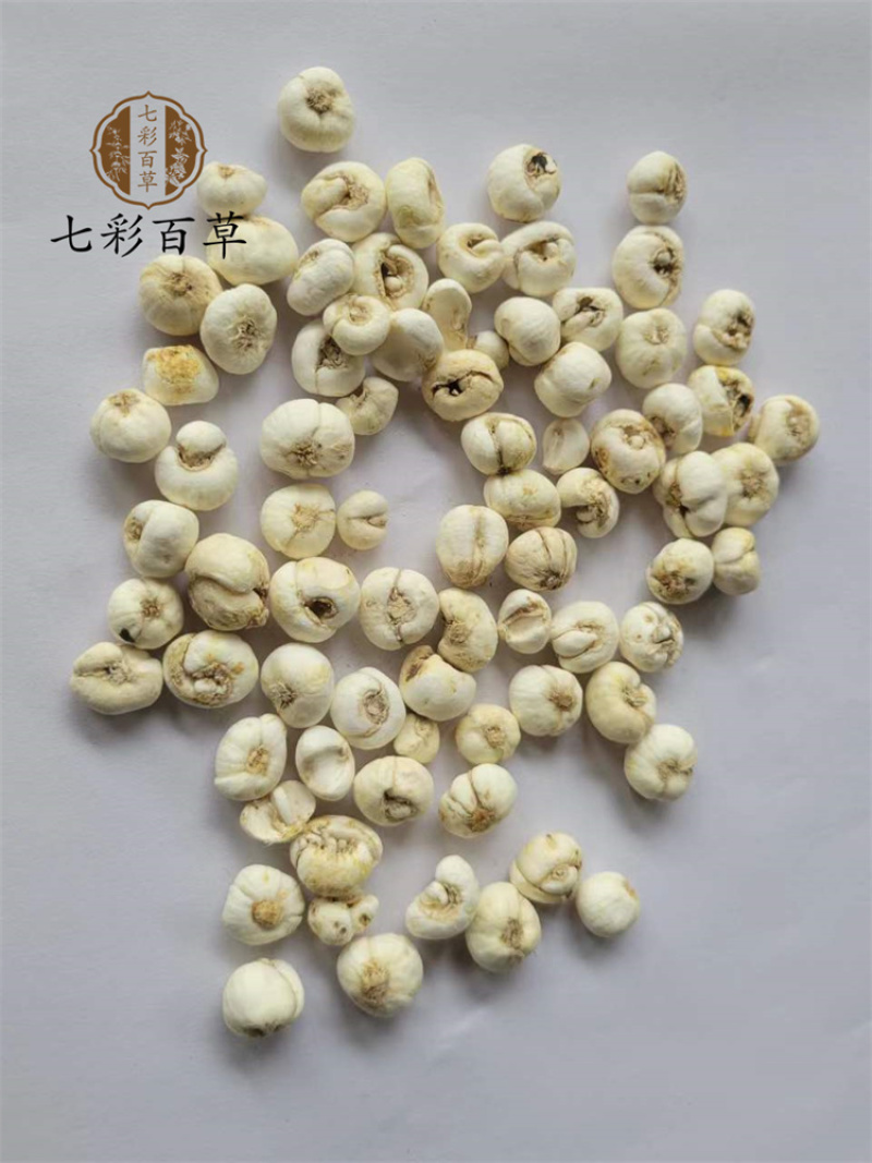 平贝母1.0小平贝吉林产地直发一手货源大量供应
