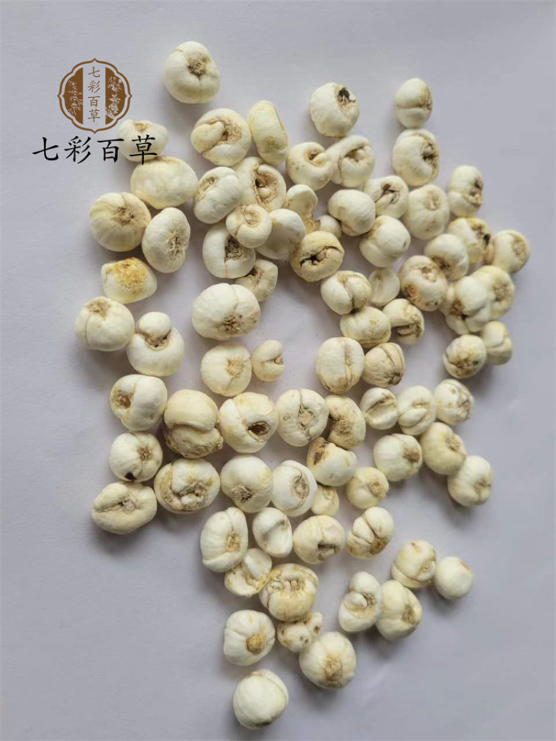 平贝母1.0小平贝吉林产地直发一手货源大量供应