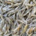 2-4河虾米虾一分价钱一分货精品新鲜
