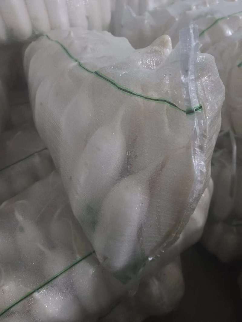 【精品】质量问题包赔湖北天门自己种植白萝卜产地直供