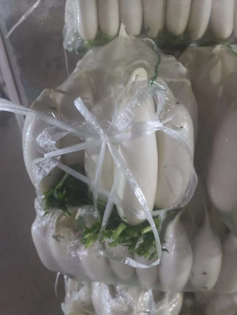 【精品】质量问题包赔湖北天门自己种植白萝卜产地直供