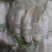 【精品】质量问题包赔湖北天门自己种植白萝卜产地直供