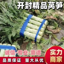 开封莴笋货源充足量大从优对接全国市场商超电商