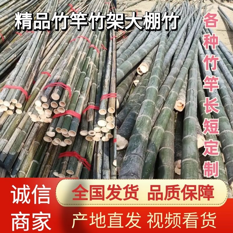 精品竹片果树蔬菜支撑竹架毛竹菜竹一手货源量大从优！