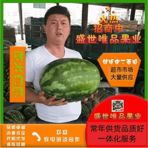 《一手货源》P2西瓜，专业代办代发，质量保障