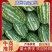 【实力】P2西瓜云南老挝缅甸西瓜全国代发可远程看货