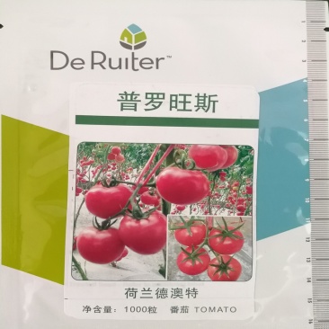 普罗旺斯番茄种子西红柿种籽荷兰进口四季种苗抗病高产口感好
