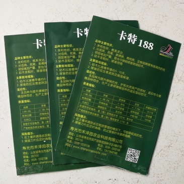 辣椒专用嫁接砧木种子线椒尖椒甜椒嫁接砧木种籽增产抗病蔬菜