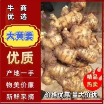 生姜产地批发一手货源，货源充足品质优良，支持全国各地发货