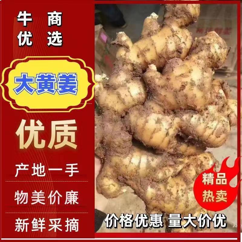 生姜产地批发一手货源，货源充足品质优良，支持全国各地发货