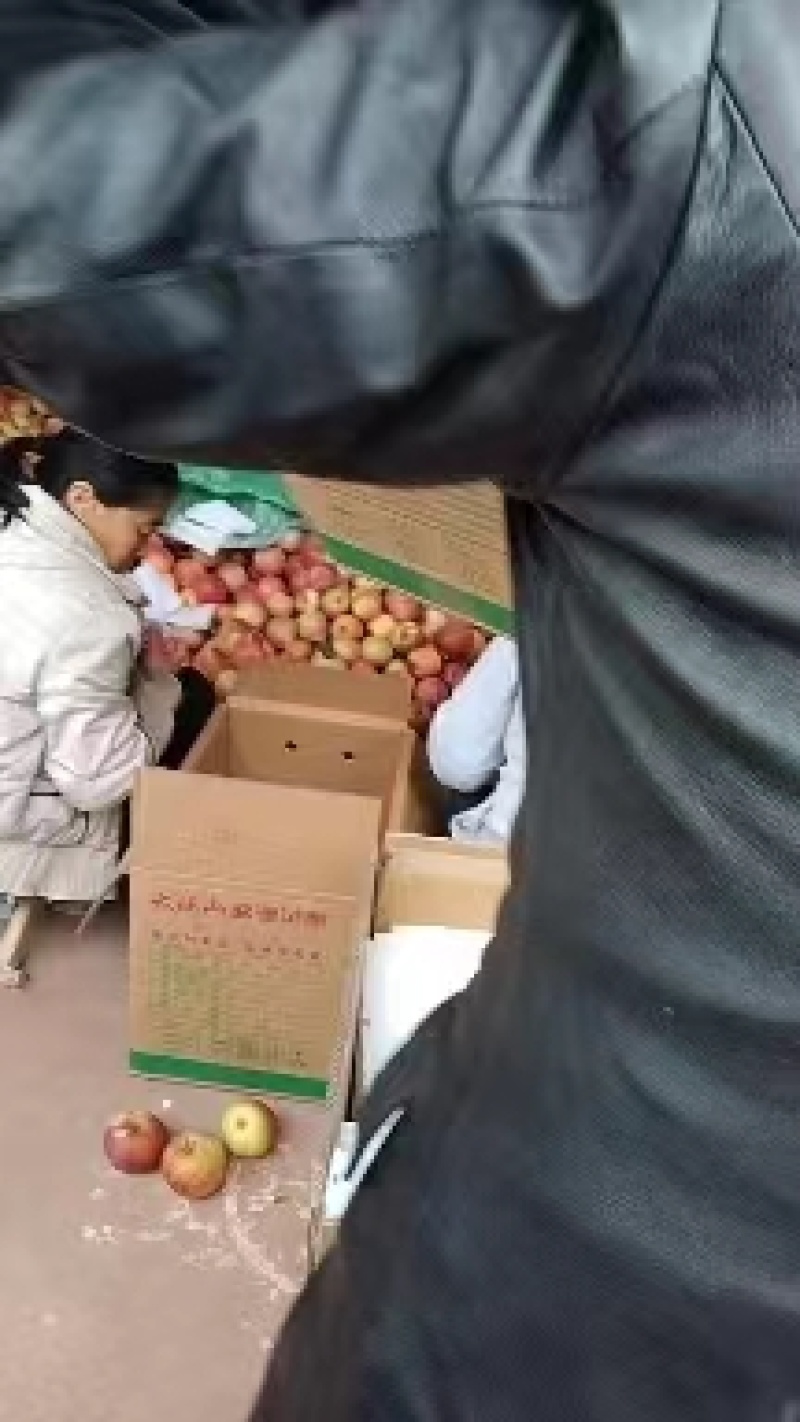 精品汉源丑苹果基地直供一手货源品质保证价格实惠