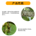 石硫合剂矿物油柑橘果园介壳虫梨木虱红蜘蛛杀虫剂农药清园剂