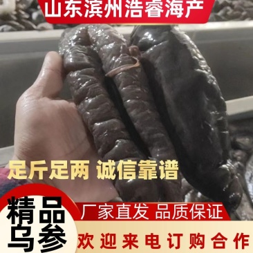 乌参，冷冻大乌参厂家直发可定制对接电商团购餐饮合作